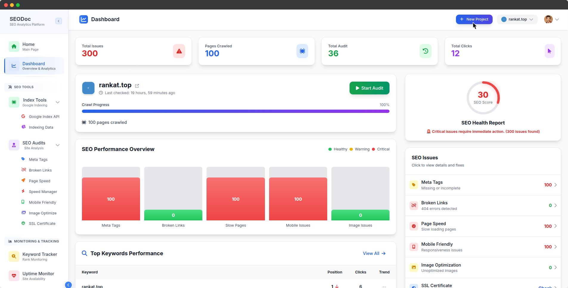 SEODoC Dashboard Screenshot